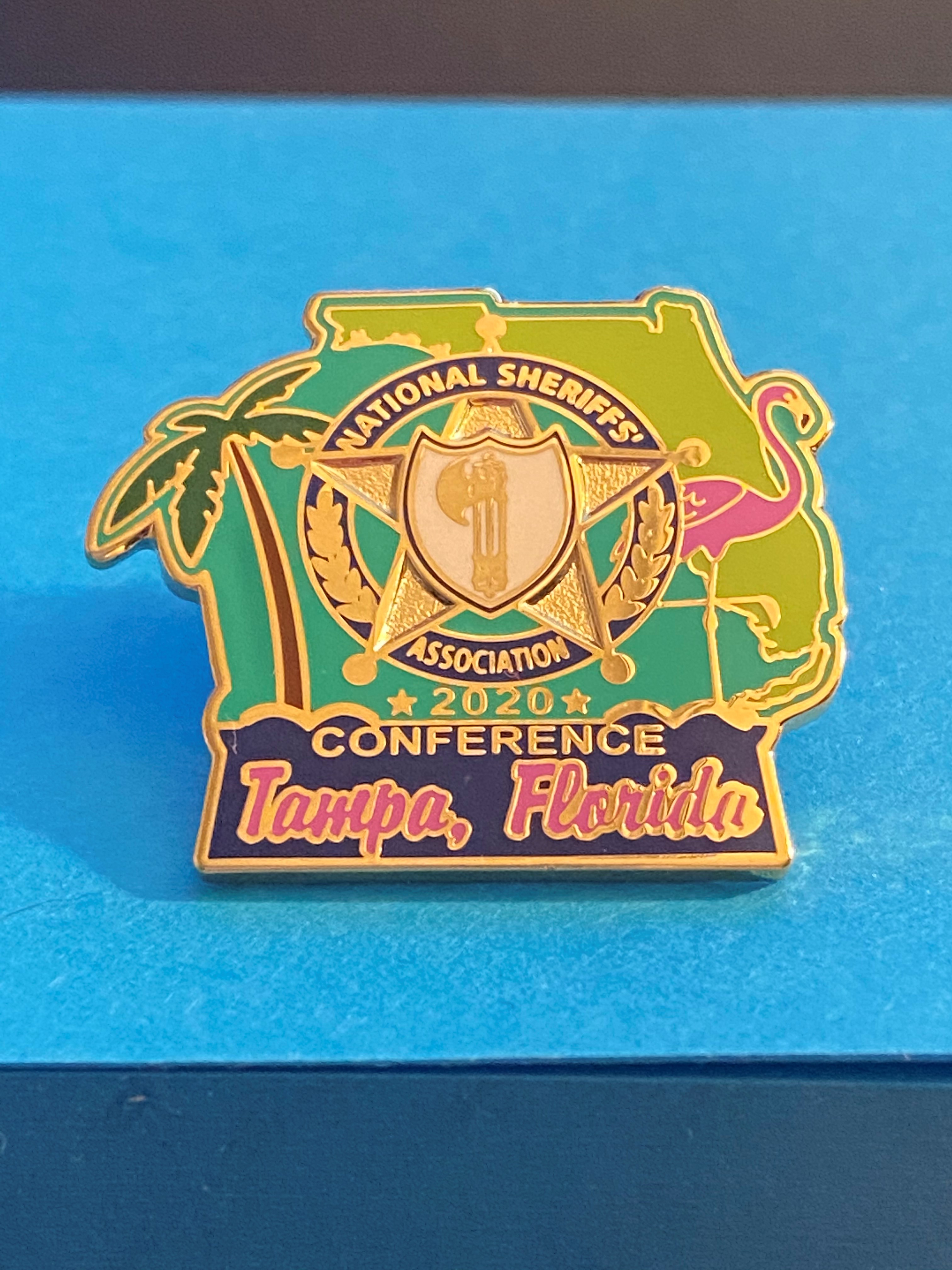 2020 Annual Conference Pin